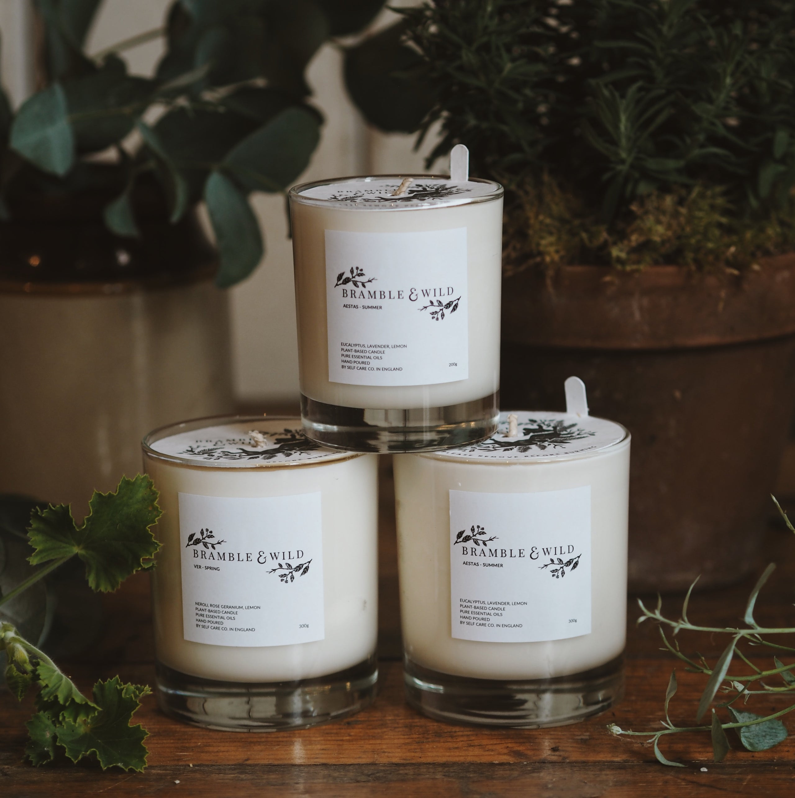 B&W's Plant Based Candle Aestas/Summer Bramble & Wild Florist In